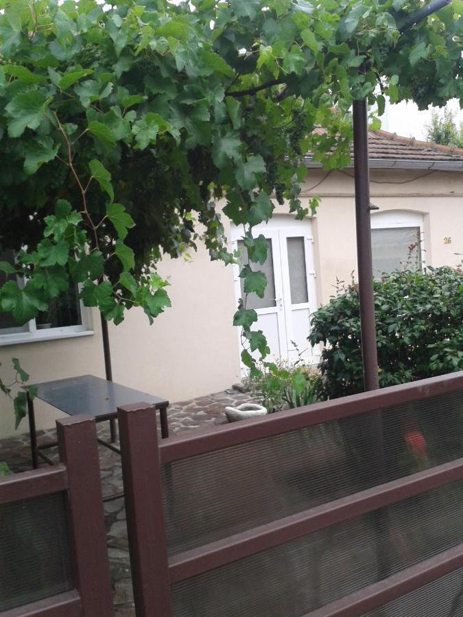Casa Didina Fosta Pensiune Casa Didina Бакэу Экстерьер фото